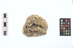 Foto von Gold (NHMW-MIN-Aq688)